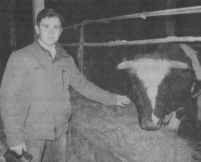 Клепиковские бараны обладают отличными вкусовыми качествами